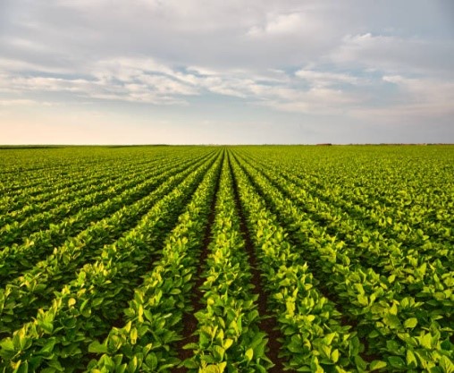 Agribusiness field operations