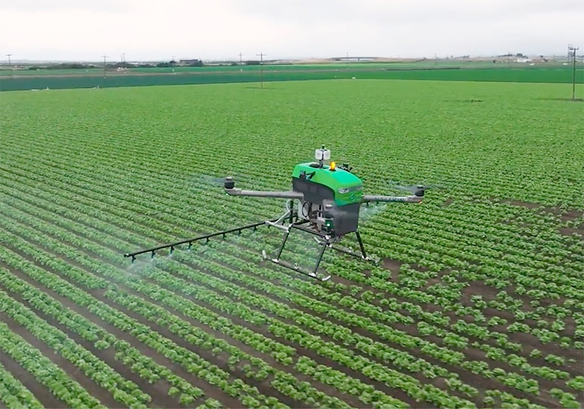 Strengthening Agricultural Value Chains