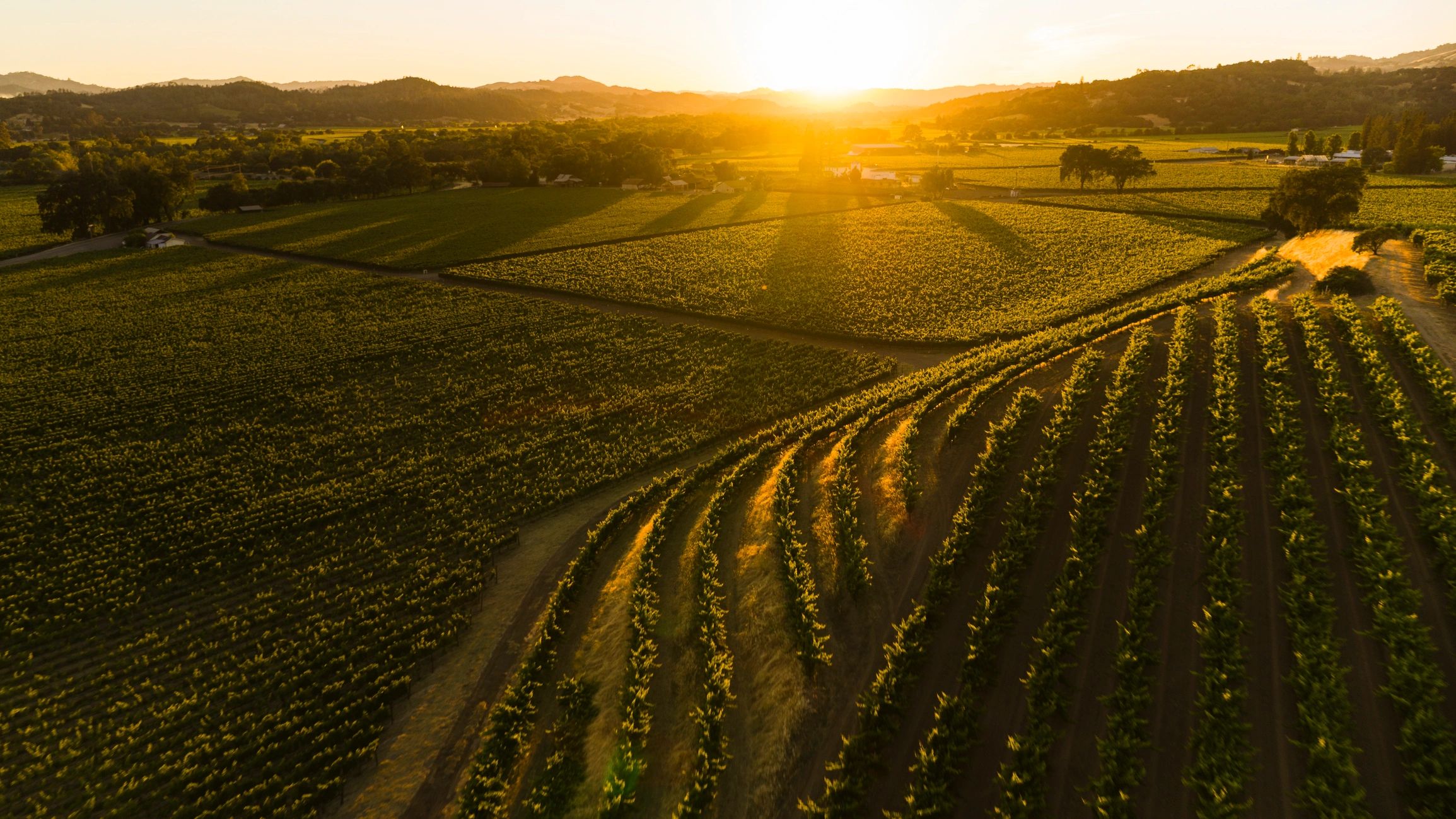 Cultivated agricultural landscape reflecting sustainable development